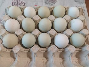 Nasadove vajcia - 3