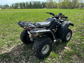 Suzuki Ozark 250 - 3