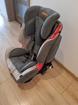 Coletto Sportivo isofix - 3