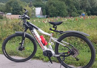 E bike Olympia Performer 900 (900 Wh / 85 Nm) 29 - 3