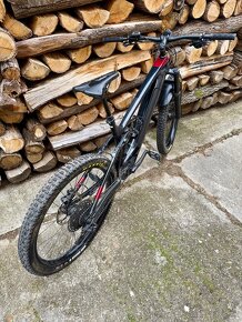 Trek Powerfly LT 9.7 Plus - 3