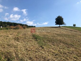 NA PREDAJ: Stavebný pozemok v obci Pruské- 2258 m2 - 3