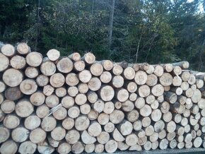 Palivové drevo buk  s dovozom - 3