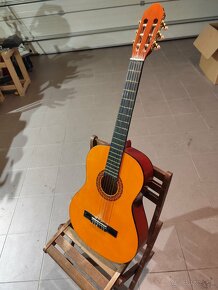 Gitar - 3