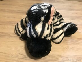 Zebra - 3