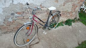 damsky bicykel phoenix - 3