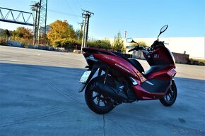 Prenájom skútra HONDA PCX 125 | AutopožičovňaPúchov.SK - 3