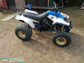 Yamaha warrior 350 - 3