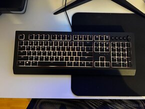 Klávesnica Razer Cynosa V2 - 3