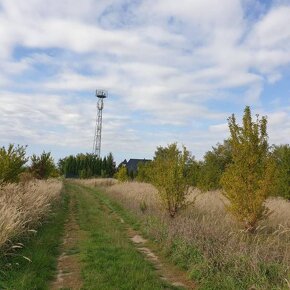 Rekreačný pozemok za Potočnou ul. v Báhoni, 30km od Bratisla - 3