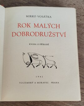 Predám knihu Rok malých dobrodružství (česky) - 3