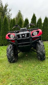 Yamaha grizzly 660 - 3