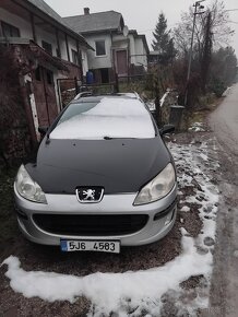 Peugeot 407 - 3