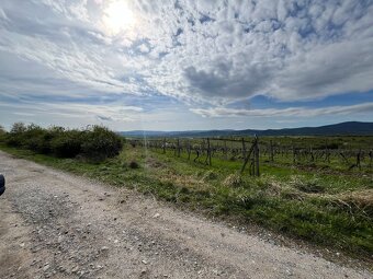 Predám pozemok v Modre, okres Pezinok: 783 m² - 3