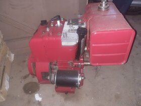 Motor Briggs & Stratton 8HP - 3