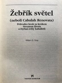 Daniel Silva, Feynman O smyslu bytí, Žebřík světel, Connelly - 3