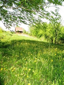 PRENÁJOM - CHATKA S POZEMKOM 715 m2 DOLNÝ MOŠTENEC, POVAŽSKÁ - 3