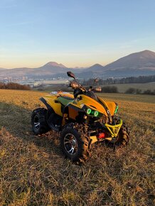 Can am renegade 800 - 3