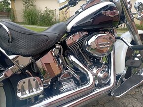 Harley Davidson Softail - 3