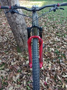 Specialized Stumpjumper ST Carbon 29 L - 3