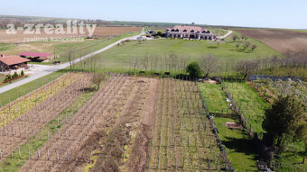 Výhodná ponuka Vinica a viničný dom na predaj - 3