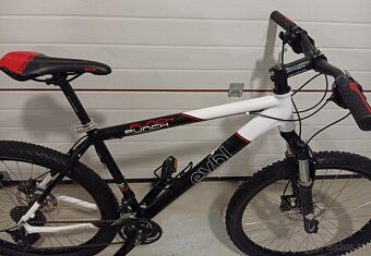 EYBL Punch, 26", 3x10 prevodov, 19", Rockshox recon - 3