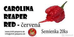 Predaj semienka chilli papričiek - 3