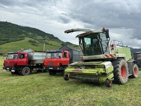 Agroslužby - odvoz / preprava Tatra Agro 815 - 3