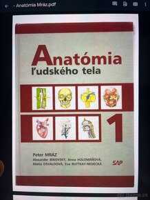 Podklady na anatómiu (PDF.) - 3