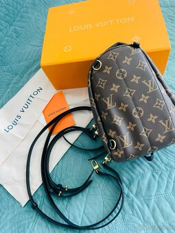 LV Palm springs mini monogram - 3