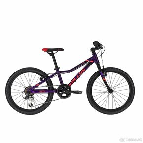 Bicykel Kellys Lumi 30 (kolesá 20”) - 3