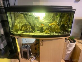 Akvarium 130x40x50 zaoblene - 3