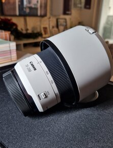 Canon RF 70-200 f4 - 3