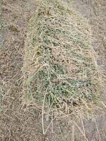 Lucerka malé hranaté a guľaté 120cm - 3