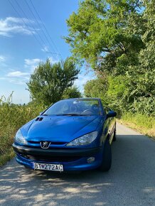 Peugeot 206 cc - 3