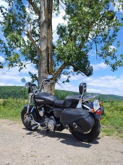 Harley Davidson Sportster - 3