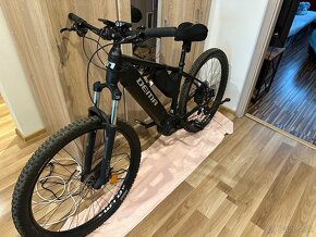 Dema Ergo Ebike - 3