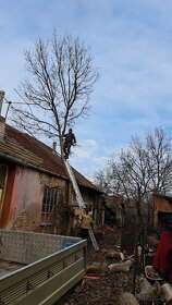 Ponúkam kosenie čistenie pozemkov-ručné Výkopové práce - 3