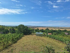 Na predaj dva viničné domčeky s vinicou, Strekov - 3