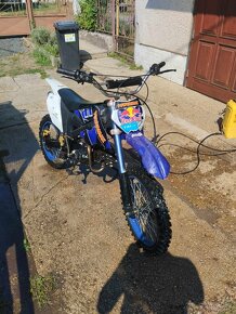 Pitbike 125 kxd - 3