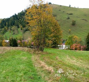 DELTA - NA PREDAJ POZEMOK - obec Osturňa - 2159m2 - 3