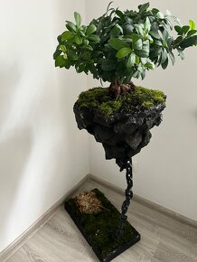 Kvetináč bonsai bonsaj - 3