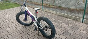 Fatbike - 3