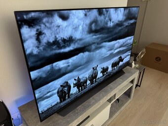 PREDAM/ VYMENIM LG CX 55 139CM OLED - 3