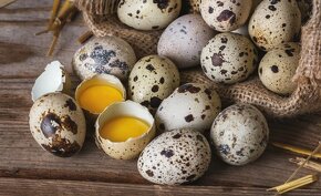 Prepeličie vajíčka - 3