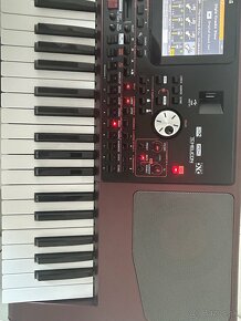 Korg pa1000 - 3