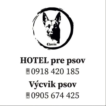 hotel pre psov, vycvik s ubytovanim - 3