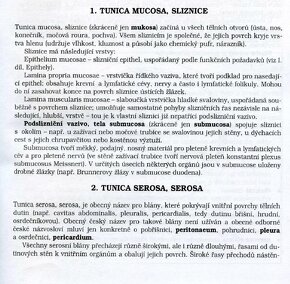 Učebnice anatómie (pdf-verzie v čestine) - 3