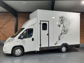 Fiat Ducato - prepravník na kone, prepravník koní - 3