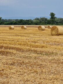 Agro Služby ( lisovanie sena/slamy, kosenie, zhrňovanie) - 3